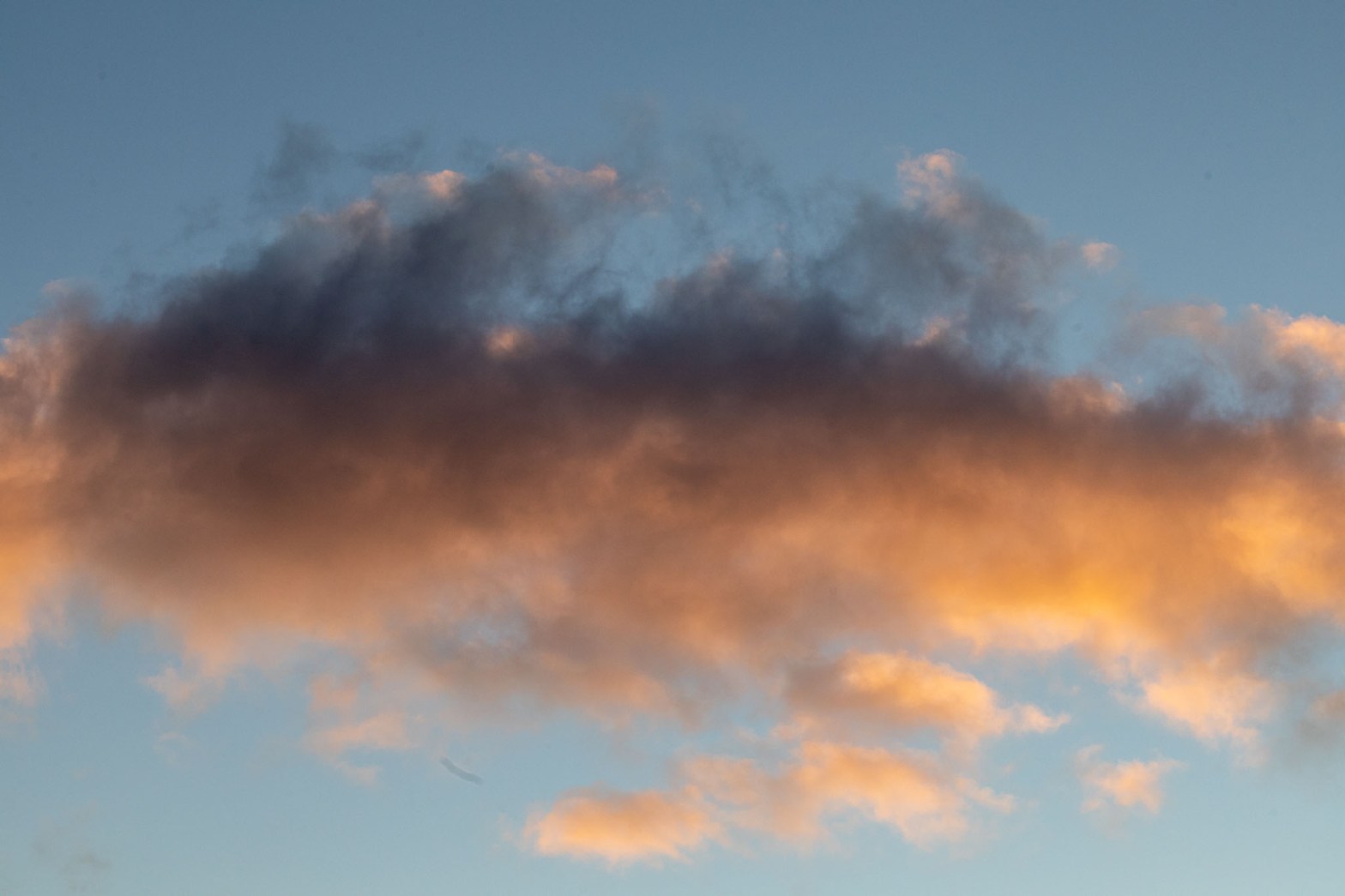 Cloud Essentials+ Journey – Licensing&nbsp;Models